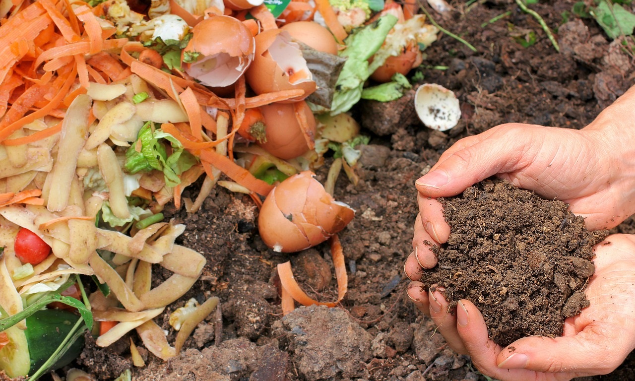 Avalex doet niet mee aan de landelijke compostdag